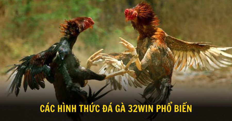 Tổng hợp các hình thức đá gà 32win phổ biến nhất