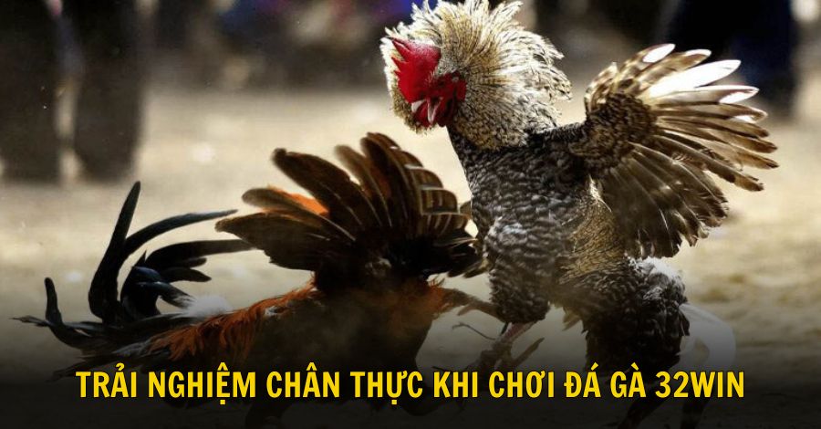 Khám phá trải nghiệm chân thực khi chơi dự đoán các trận chiến kê 32win